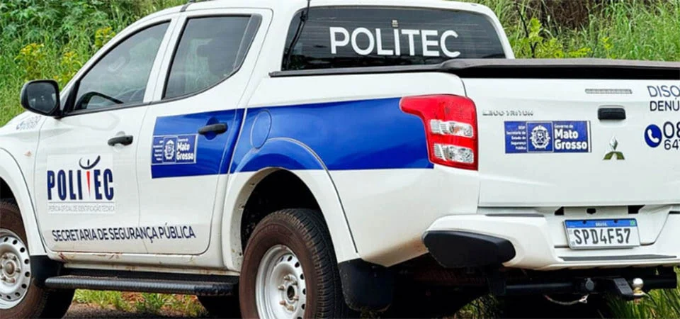 Motociclista bate em animal em rodovia e morre