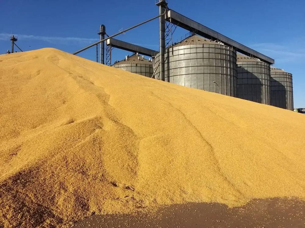 Déficit de armazenagem cresce mais que produção e amplia desafio do agro MT