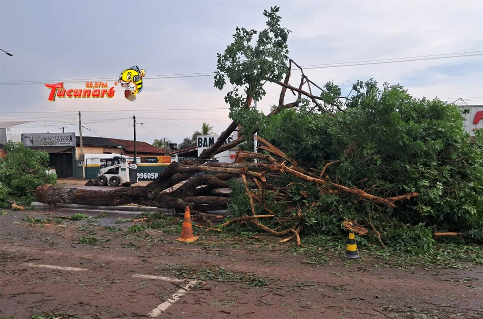 Temporal derruba barracão e causa estragos