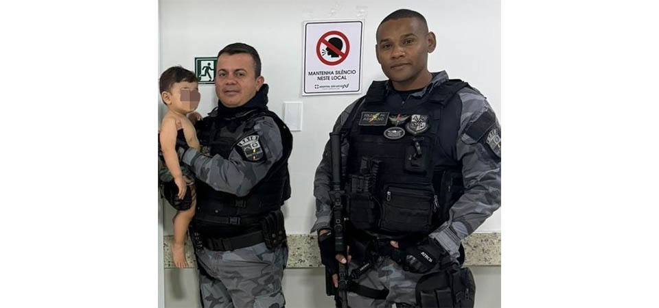 Raio mata 13 cabeças de gado e um equino em sítio. Vídeo