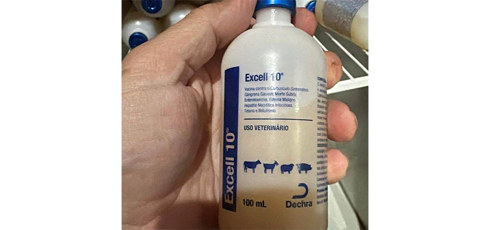 Indea determina suspensão imediata da venda de vacina animal ‘Excell 10’ em Mato Grosso