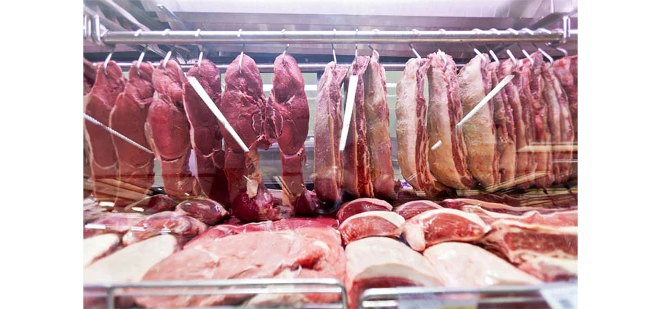 Entenda o que a ciência diz sobre a dieta carnívora