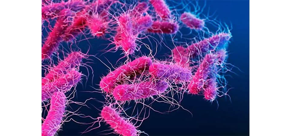 Conheça doença rara que deixa pessoas bêbadas mesmo sem ingerir álcool