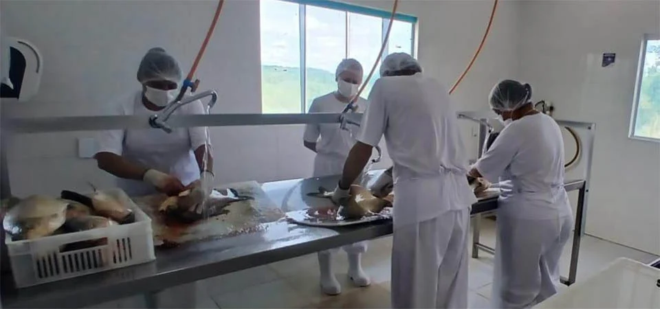 Indea fomenta a comercialização de produtos inspecionados em MT