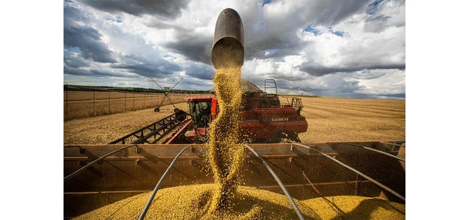 Clima favorece colheita da soja em Mato Grosso e mantém ritmo acima da média