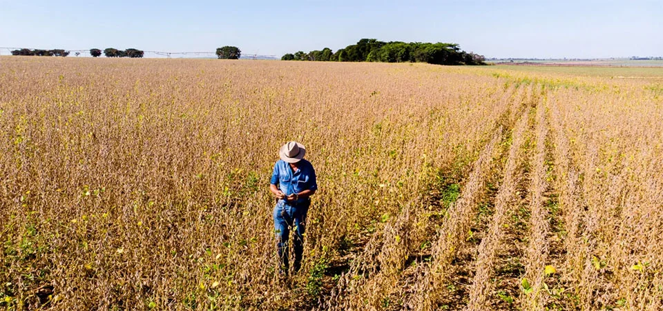 Sistema Campo Limpo inspira Sustentabilidade e é referência mundial