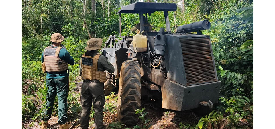 Polícia Civil e Sema realizam operação de combate ao desmatamento ilegal