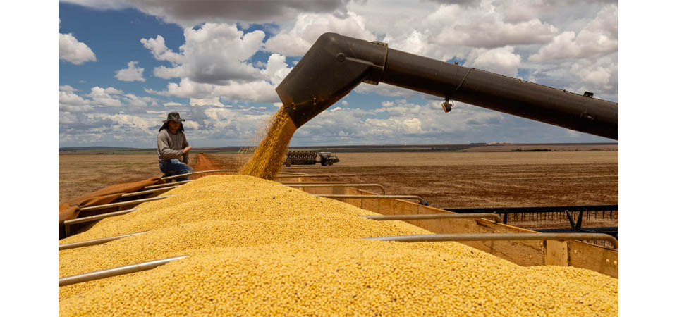 MT deve liderar o crescimento da produção de grãos mundial nos próximos anos