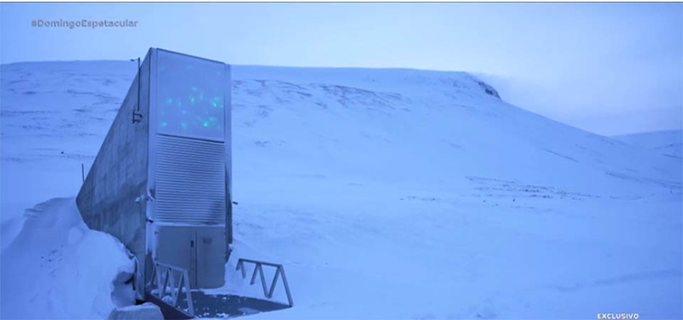 Cofres no Ártico armazenam sementes e arquivos para proteger legado da humanidade