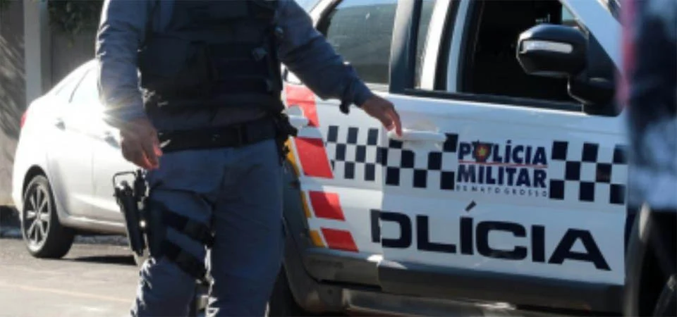 Polícia Militar prende idoso por furto e recupera 12 cabeças de gado e um cavalo