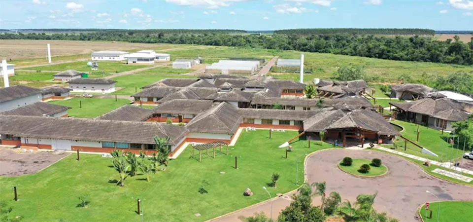 Dia de campo da Pecuária Leiteira em sistemas de integração (ilpf) e 3ª edição &amp; Tec Leite 2026 será dia 20 de março