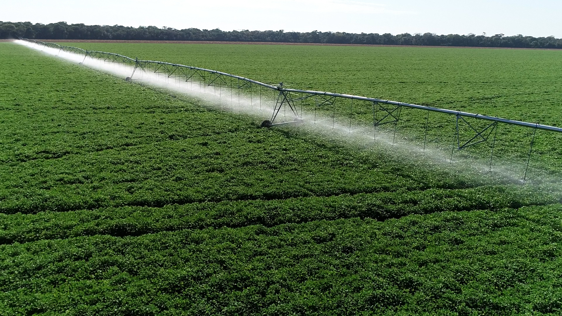 Mudanças climáticas pressionam irrigação no Brasil