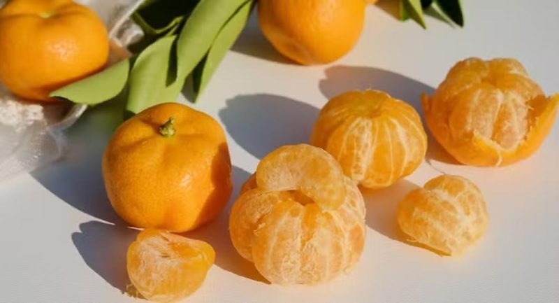 Bergamota, mexerica, tangerina, ponkan: são todas a mesma fruta?
