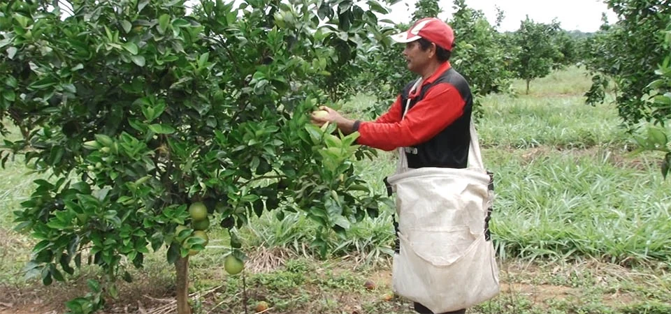 Municípios são os que mais investem para o desenvolvimento rural no Brasil