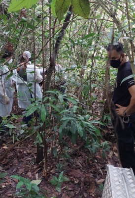 Homem é encontrado morto dentro de mata com a cabeça separada do corpo
