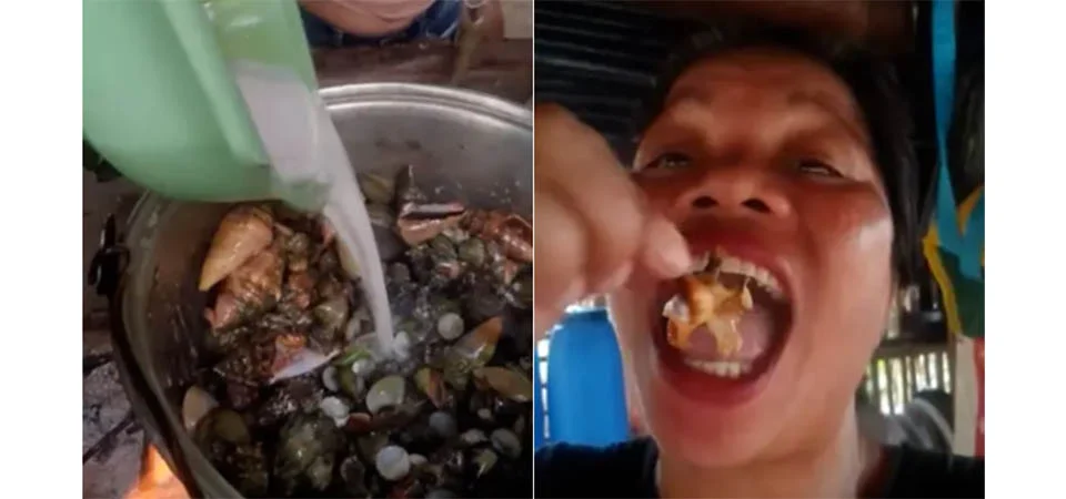 Influenciadora morre após comer caranguejo venenoso