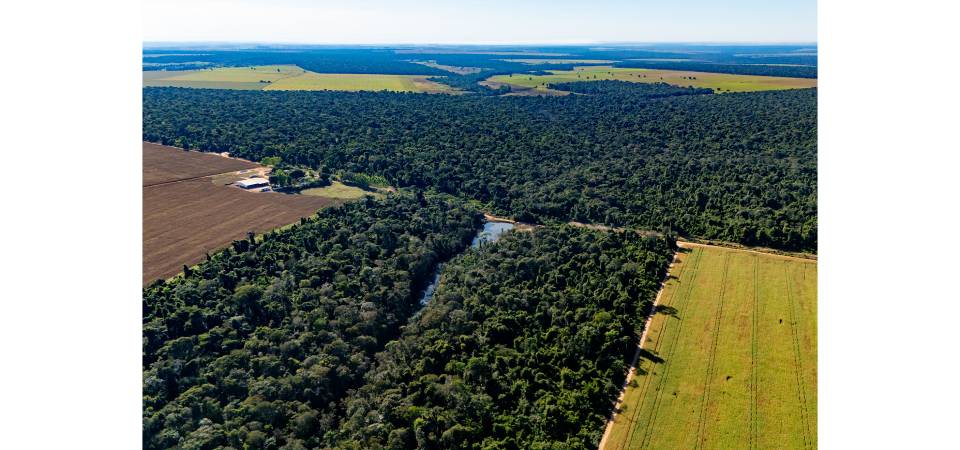 O que não te contam sobre o agro: produção e sustentabilidade andam lado a lado
