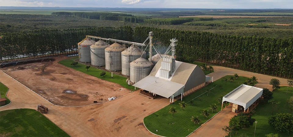 Déficit de armazenagem pressiona produtores e reduz rentabilidade em Mato Grosso