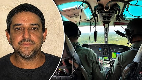 Trabalhador morre atingido por tora de madeira durante serviço em fazenda
