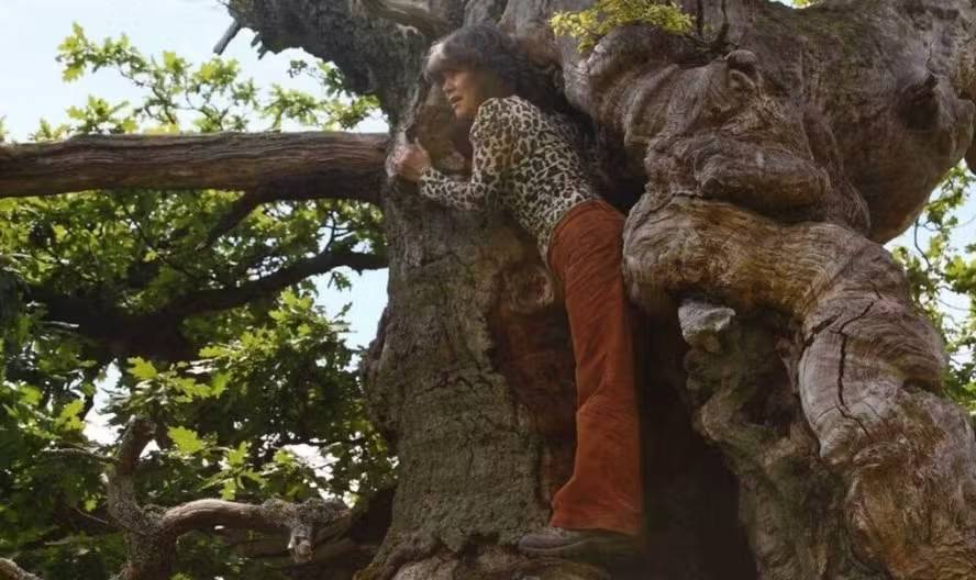 Mulher 'criada por macacos' em floresta diz que ficou aterrorizada ao se ver pela primeira vez num espelho