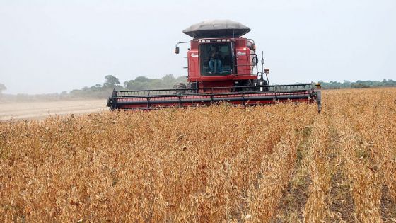 Mato Grosso é o estado brasileiro com maior crescimento econômico em 2022