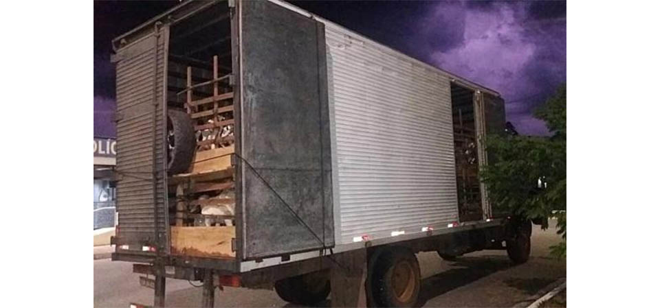Animais domésticos morrem em caminhão de mudanças que viria pra Tapurah