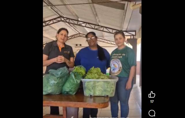 Itanhangá: Alunos da Escola Cecília Meirelles de Monte Alto mostram resultado da plantação de alface na horta da escola