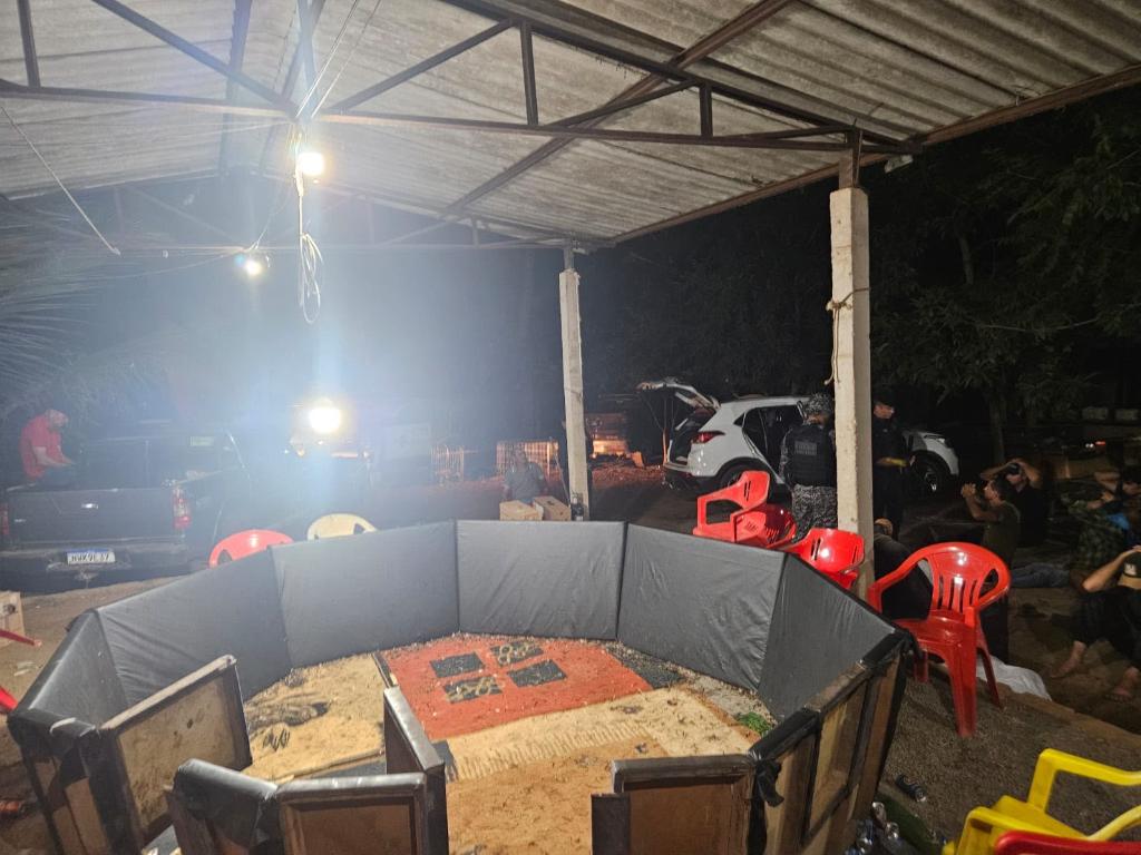 Polícia Civil desarticula rinha de galos e conduz 17 pessoas à delegacia