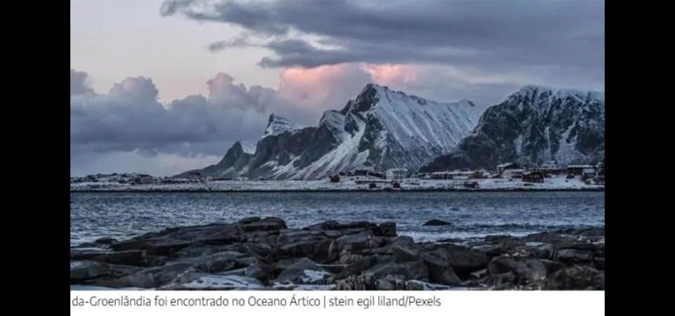 Tubarão de 399 anos é encontrado vivo em oceano e intriga cientistas