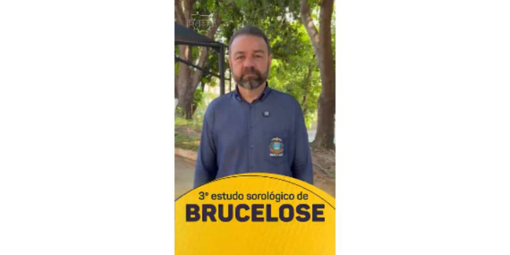 INDEA vai realizar 3º Estudo Sorológico de Brucelose; Itanhangá tem propriedade sorteada. Vídeo