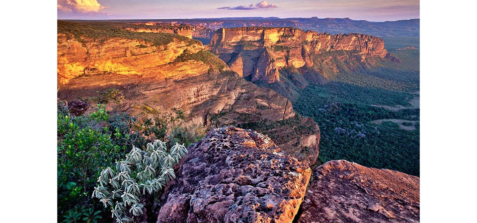 MT tem diversas opções de lugares para passear nas férias de julho. Fotos
