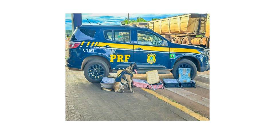 PRF apreende mais de 21 kg de cocaína em três ocorrências durante fiscalizações na BR-364