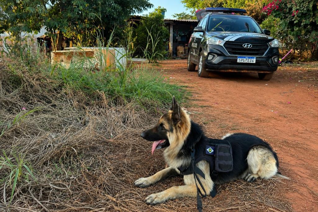 Tabaporã: Polícia Civil deflagrou operação contra investigados por homicídio ligado a facção