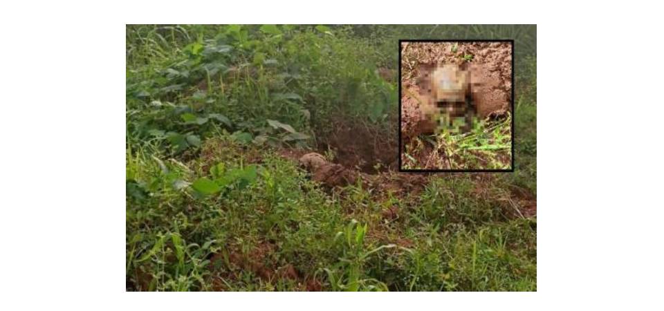 Trabalhador acha ossada humana durante obra atrás de creche