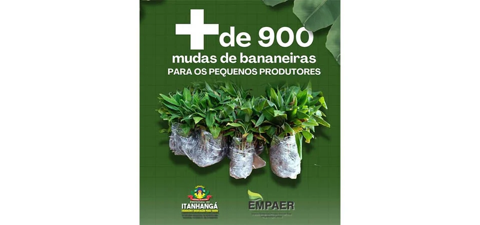 Itanhangá: Prefeitura e EMPAER fortalecem agricultura familiar com doações de mudas de bananeiras