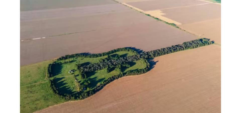 História de amor em forma de violão gigante resiste ao tempo desde 1979