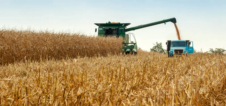 Recursos das Cédulas de Produto Rural crescem 31% entre julho e outubro de 2025