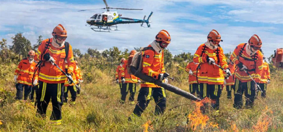 Mato Grosso registra menor número de focos de calor desde 1998