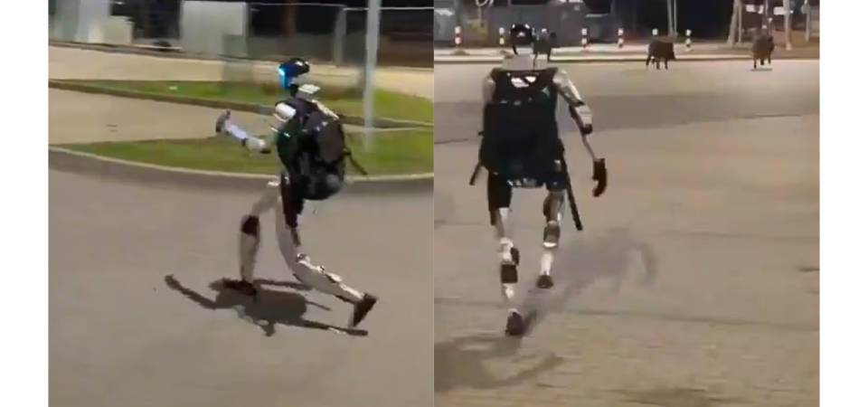 Robô humanoide persegue javalis e surpreende moradores na Europa