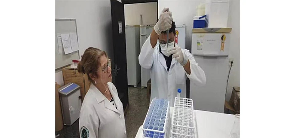 Fungo que causa doença grave em trabalhadores rurais e garimpeiros é descoberto por pesquisadores da UFMT