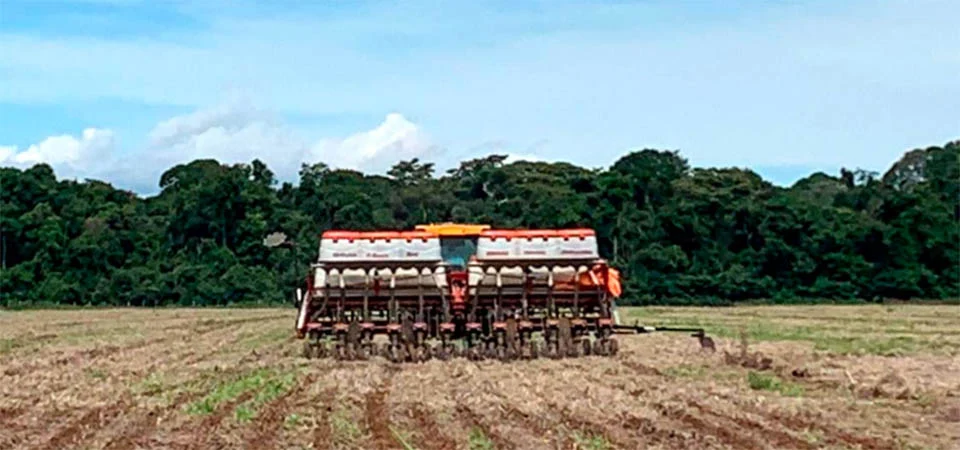 Mato Grosso deve ter maior aumento nacional na área plantada de soja