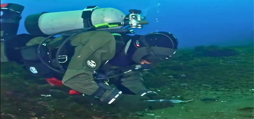 Vazamento de metano sob oceano Antártico gera alerta global