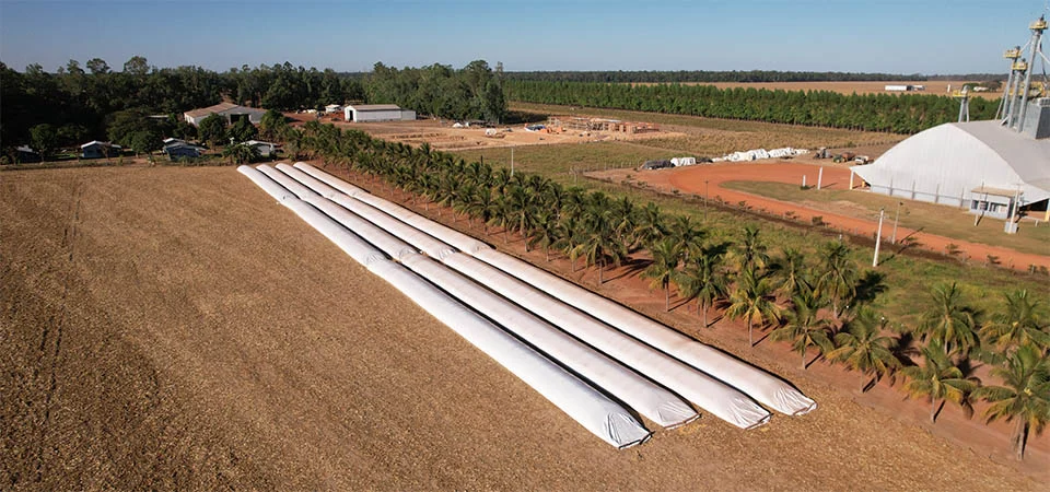 Armazenagem segue como desafio estratégico para os produtores de Mato Grosso
