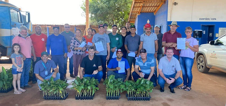 Itanhangá: Prefeitura realiza entrega de mudas de banana à produtores