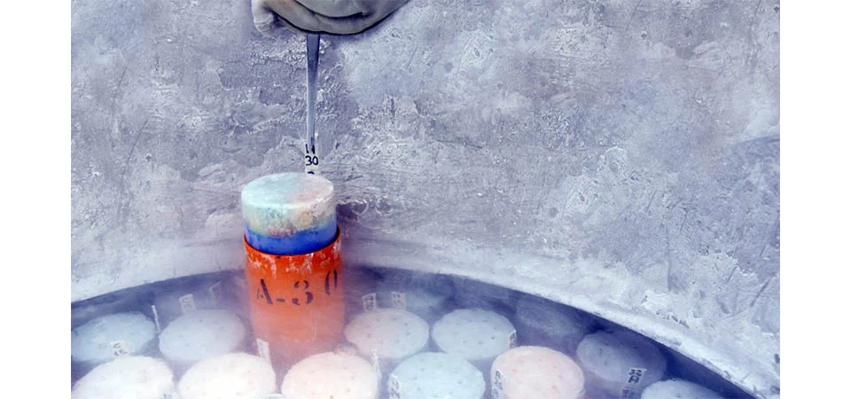 Embrapa inaugura fábrica de nitrogênio líquido e amplia capacidade de conservação genética