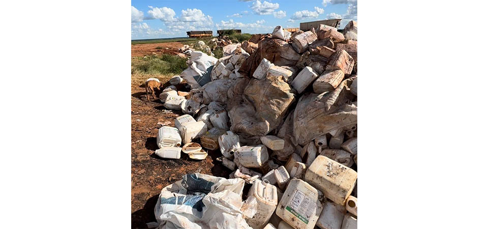 Gerente de fazenda é preso por crime ambiental