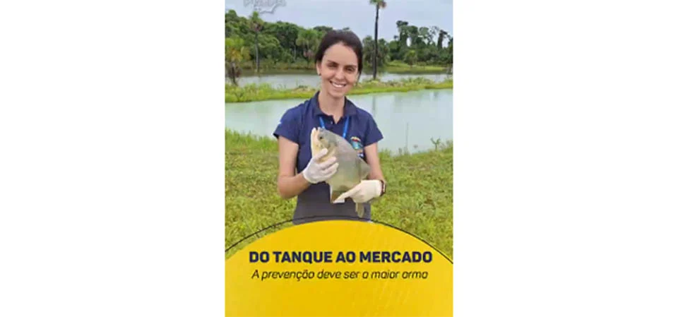 INDEA lança projeto para combater a salmonella em tanques de peixes. Vídeo