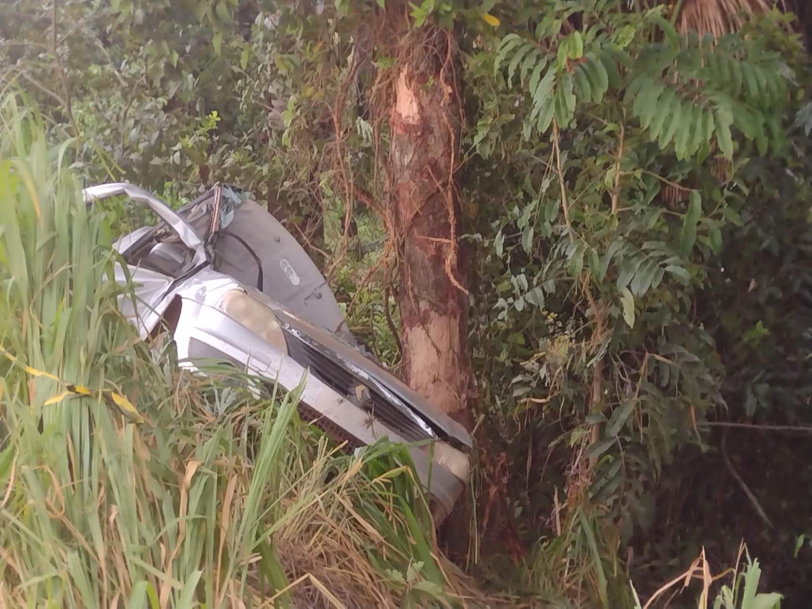 Itanhangá: Homem sai da pista, bate carro violentamente contra árvore na MT 338 e morre