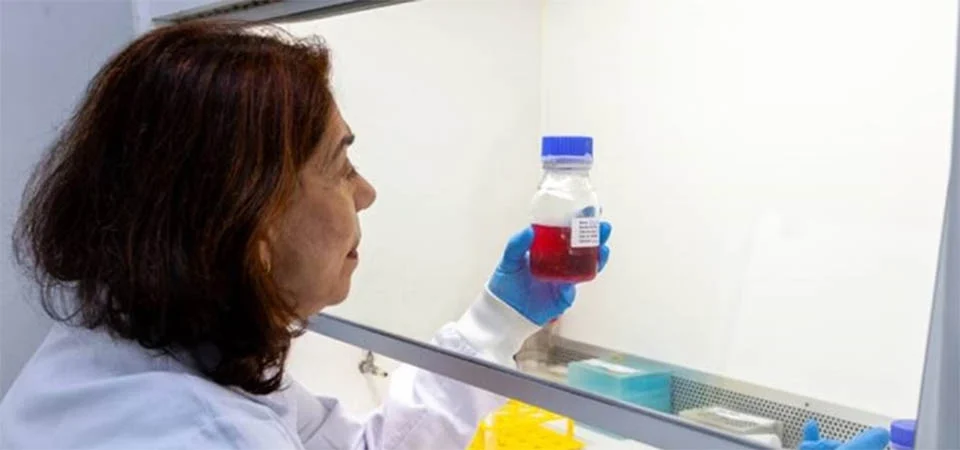 Butantan desenvolve anticorpo anti-zika com foco em gestantes