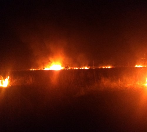 Itanhangá: bairro Pioneiro está em chamas